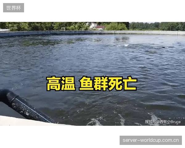 巴拿马国家队医疗团队需制定精细补水方案,以应对达拉斯赛区潜在的极端高温比赛环境。 巴拿马国家队医疗团队需制定精细补水方案,以应对达拉斯赛区潜在的极端高温比赛环境。